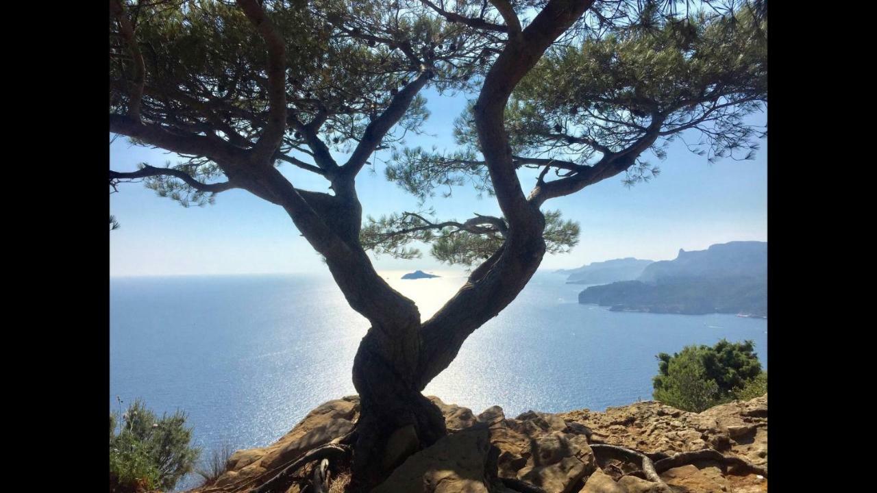 Appart Port Cassis Village Parking Buitenkant foto